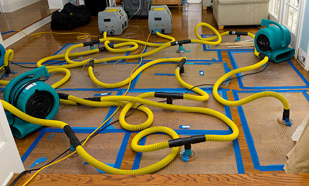 Professional Water Extraction technician working in Fountain, MI